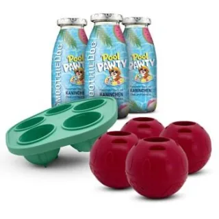 SmoothieDog Summer-Edition 3x 250 ml + Schleckball 4 Stück