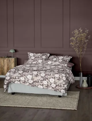Irisette Bettwäsche "Koala 8531" 2 Stk. flauschig