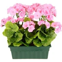 Kunstblume Geranie, OTTO home, Höhe 36 cm, Im Kasten