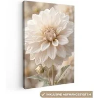 OneMillionCanvasses® Leinwandbild Blume - Dahlie - Weiß, Fotodruck (1 St), Leinwand Canvas Wandbild, Wanddekoration 20x30 cm