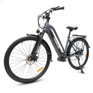 [EU DIRECT] Paselec TX10 Electric Bike 48V 19.2Ah 250W Motor Top Speed 25KM/H 700x40C Tire 100KM Mileage 125kg Max Load