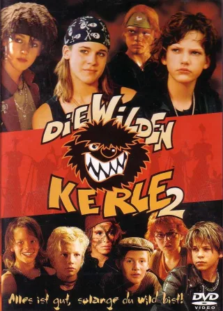 Die wilden Kerle 2 [DVD]