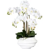 Kunstorchidee Phalaenopsis Orchidee Phalaenopsis, Creativ green, Höhe 75 cm, in Design-Kunststoffvase