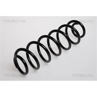 Triscan Feder hinten Seat Toledo Skoda Rapid VW Bora