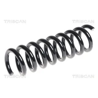 Triscan Feder hinten Mercedes Clk 875023166