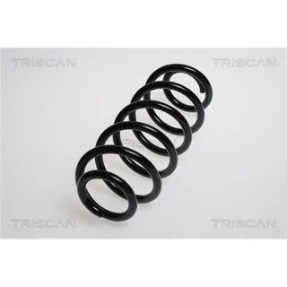 Triscan Feder hinten Peugeot 307 875028108