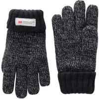 Next Strickhandschuhe Thinsulate® Strickhandschuhe (1-St)