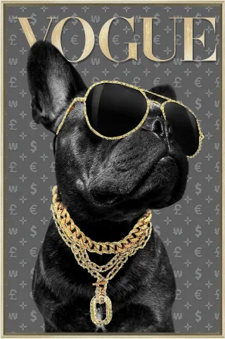Bild BULLDOG WITH SUNGLASES