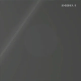 Geberit Ersatzteile Typ 40 Abdeckplatte, rund für Urinalsteuerung Infrarot, schwarz, 246120SJ1 246120SJ1