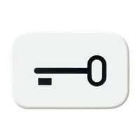 Tastersymbol ausschaltwippe 2525 TR-214, Schlüssel weiß, Retail