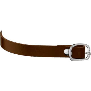 Sporenriemen - 45 cm, Leder braun, Schnalle silber