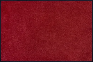 Rot
