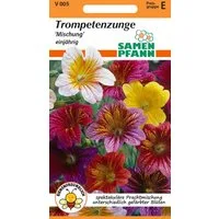 SAMEN PFANN Blumensamen Trompetenzunge - Saatgut Samen, Salpiglossis sinuata