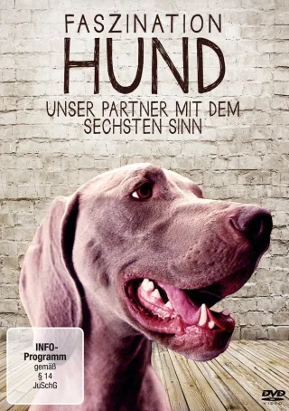 Faszination Hund - Unser Partner mit dem sechsten Sinn [DVD] [2014]