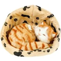 Teddys Rothenburg Kuscheltier Katze im Korb rot 16 cm Plüschkatze Stoffkatze (Stofftier, Plüschtier, Kätzchen, Stoffkätzchen, Plüschkätzchen)