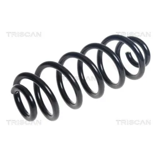 Triscan Feder hinten Audi A4 B9 2,0 875029497