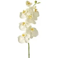 Kunstorchidee Leonardo Künstliche Blumenpflanze, künstliche Pflanzen, Phalaenopsi, LEONARDO