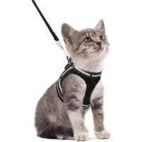 LuxusKollektion Katzen-Geschirr Katzengeschirr mit Leine Ausbruchsicher Verstellbar Kätzchenweste