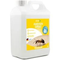 INSIGO Insektenspray Ameisen Spray gegen Ameisen, Larven & Eier, 2 l, 2000 ml, 1-St., biozidfreie Formel, auf Wasserbasis, geruchsarm, brennt / ätzt nicht