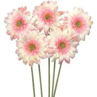 Kunstblume Künstliche Gerbera 5er Set 47 cm – realistische Kunstblumen Rosa, naninoa GmbH, Höhe 47.00 cm