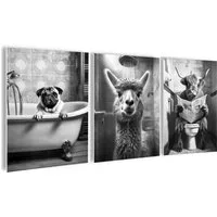 artissimo Mehrteilige Bilder Bilderset 3er-Set, Deko Bad / Badezimmer, schwarz-weiß, lustige Bilder, Badezimmerbild: Hochland Kuh / Alpaka / Mops