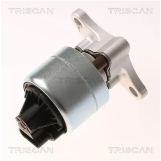 Triscan AGR-Ventil Chevrolet Daewoo 881321026