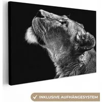 OneMillionCanvasses® Leinwandbild Löwe - Tiere - Schwarz und weiß, Fotodruck (1 St), Leinwand Bilder Klein, Wand Dekoration Aesthetic 30x20 cm