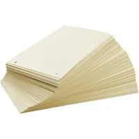 Otto Office Nature Abheftstreifen, Recycling-Karton Rechteck 24/10,5 cm, 2-fach Lochung, chamois