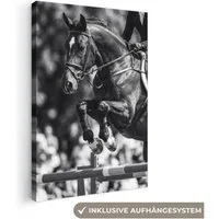 OneMillionCanvasses® Leinwandbild Springen - Pferd - Schwarz - Weiß, Fotodruck (1 St), Leinwand Bilder Klein, Wand Dekoration Aesthetic 30x20 cm