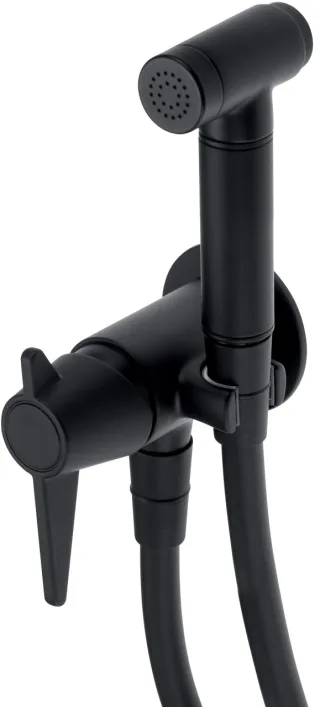 Neuesbad Serie 400 Unterputz-Bidetarmatur mit Bidet-Handbrause, Schwarz NB1DEBQTN34M1
