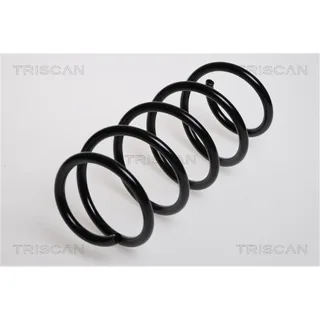 Triscan Feder vorne Opel Corsa C 875024031