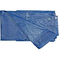 TRIZERATOP Schutzplane Abdeckplane 2x3 m, 75 g/m², wetterfest, verstärkte Ösen (Abdeckplane 2x3 m, 75 g/m², wetterfest, verstärkte Ösen, Abdeckplane 2x3 m, 75 g/m², wetterfest, verstärkte Ösen)