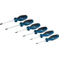 Schraubendreher-Set TX Professional, 6-teilig blau/schwarz