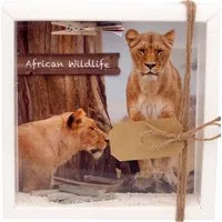 ZauberDeko Geschenkbox Geldgeschenk Afrika Safari Urlaub Reise Fernreise Wildlife