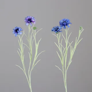 Blau