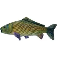 Teddys Rothenburg Kuscheltier Fisch Karpfen 27 cm grün Plüschtier Stofffisch (Stofftier, Plüschfisch, Stoffkarpfen, Plüschkarpfen)