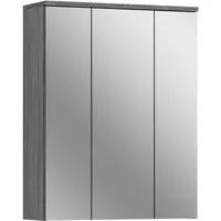 xonox.home Spiegelschrank Rauchsilber Spiegelglas Beschichtet Modern 60x77x21 cm