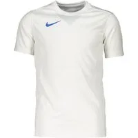 Nike Fußballtrikot Nike Performance Park VII Trikot Kids Teamsport
