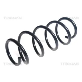 Triscan Feder vorne Mercedes Vito 875023194