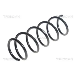 Triscan Feder Vorne Kia Picanto 2