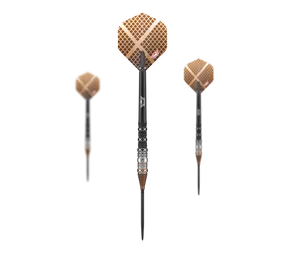 Bulls NL Max Hopp 95% Convertible Points Steeldarts