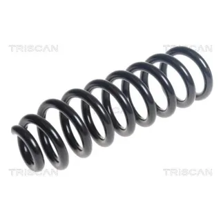 Triscan Feder hinten Mercedes C-Klasse 875023216