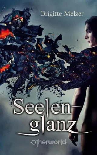 Seelenglanz [Broschiert] [2011] Melzer Brigitte