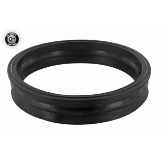 Vaico Dichtung f?r Kraftstoffpumpe Audi Seat Skoda VW V10-2562