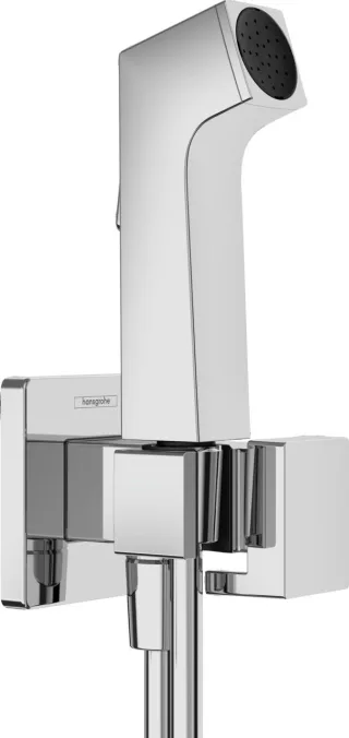 Hansgrohe Handbrause Bidette E f.Kaltwasser m. Schlauch 1250mm und Porter chrom, 29231000 29231000