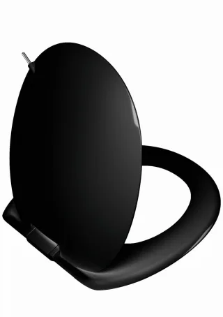 Vitra Istanbul WC-Sitz, mit Absenkautomatik, Schwarz, 166-070-109 166-070-109