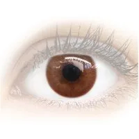 GLAMLENS Monatslinsen Sehr deckende und natürliche braune Linsen "Venedig Milky Brown"