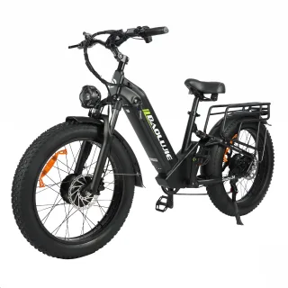 [EU DIRECT] BAOLUJIE DP2402 Electric Bike 48V 20AH Battery 1000W*2 Dual Motors Recommended Top Speed 25KM/H 24*4.0inch T