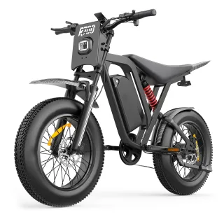 [EU DIRECT] Bluvall R700 Electric Dirt Bike 48V 20AH Battery 1000W Motor Peak Power 1500W Recommended Top Speed 25KM/H 2