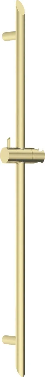 Neuesbad Serie 600 Brausestange, Oberfläche: gold gebürstet NB1NQS_R51D1